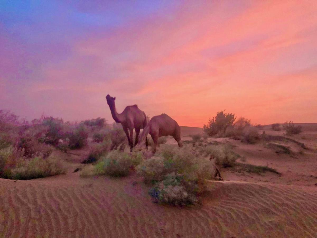 Hotel Desert Bloom ไจซัลเมอร์ ภายนอก รูปภาพ